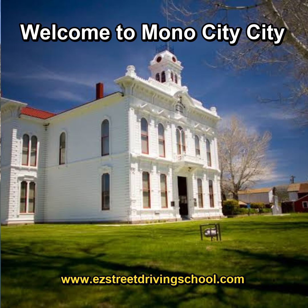 Driving Lessons in Mono City